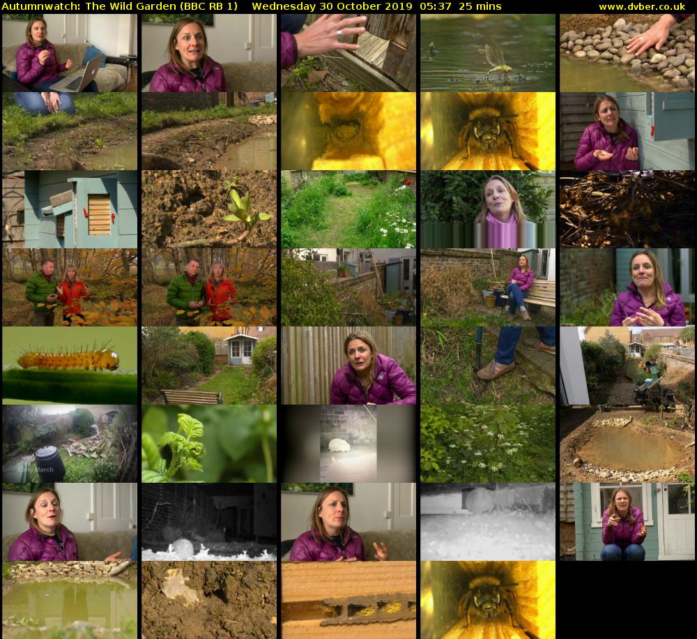 Autumnwatch: The Wild Garden (BBC RB 1) Wednesday 30 October 2019 05:37 - 06:02