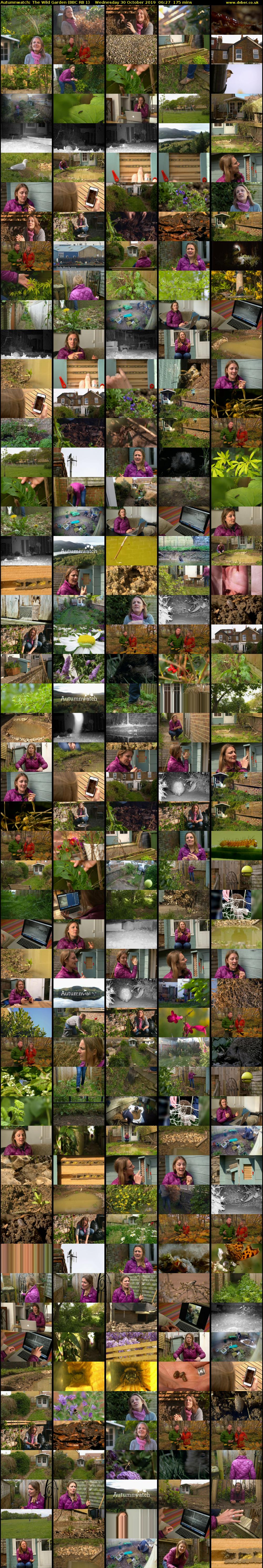 Autumnwatch: The Wild Garden (BBC RB 1) Wednesday 30 October 2019 06:27 - 09:22