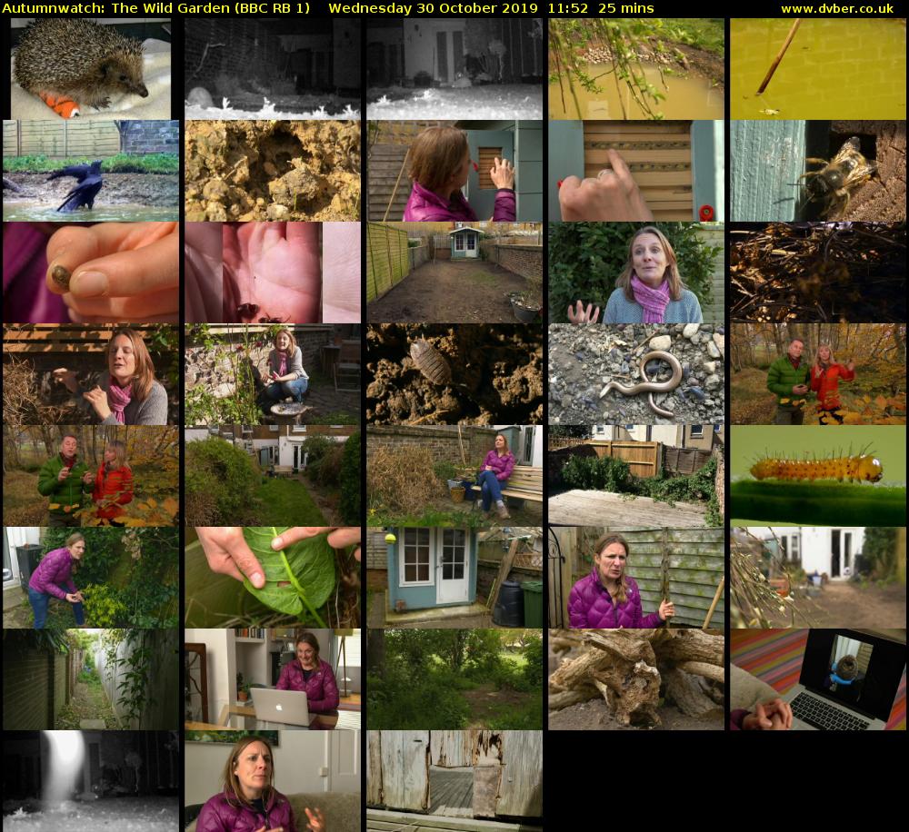 Autumnwatch: The Wild Garden (BBC RB 1) Wednesday 30 October 2019 11:52 - 12:17