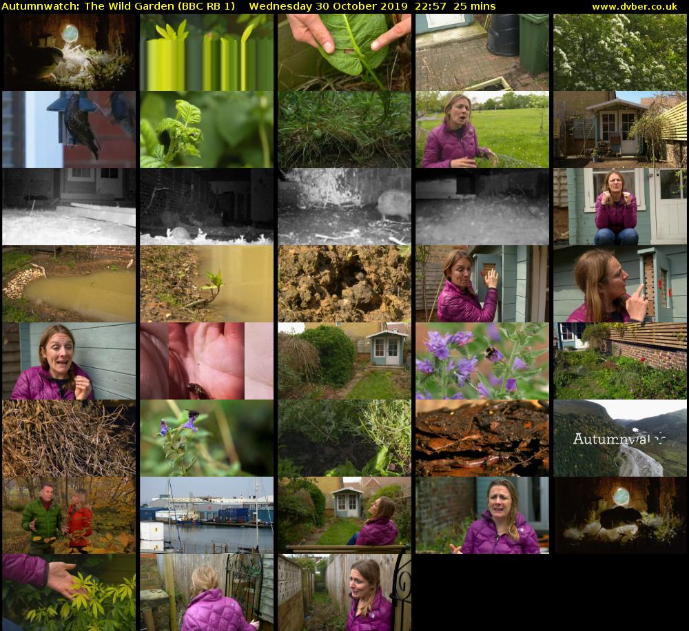 Autumnwatch: The Wild Garden (BBC RB 1) Wednesday 30 October 2019 22:57 - 23:22