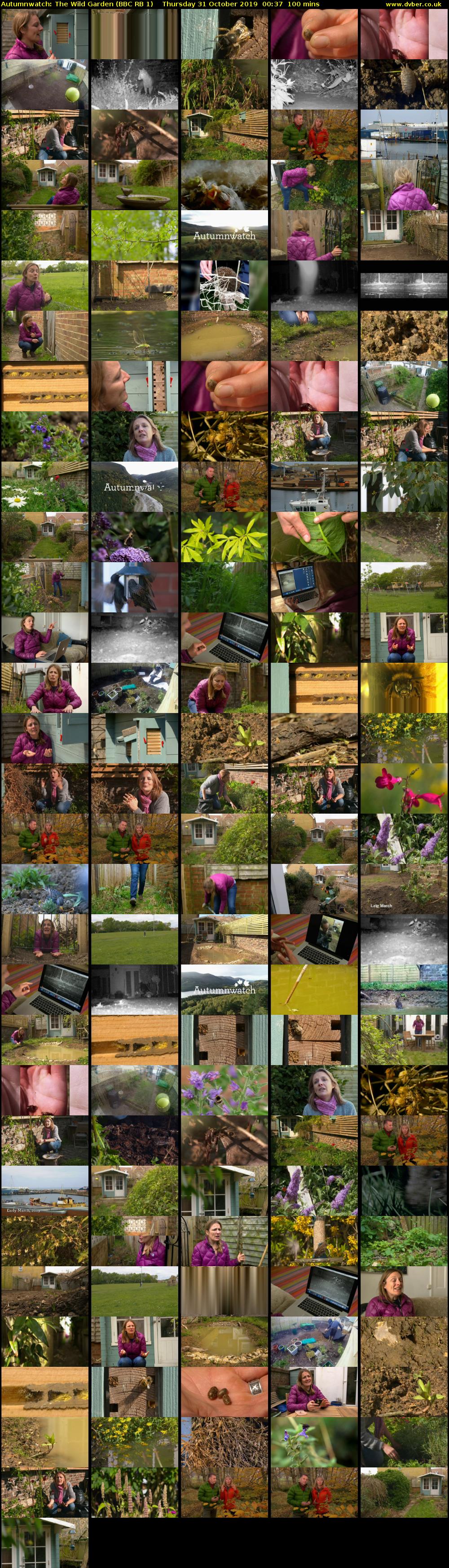 Autumnwatch: The Wild Garden (BBC RB 1) Thursday 31 October 2019 00:37 - 02:17