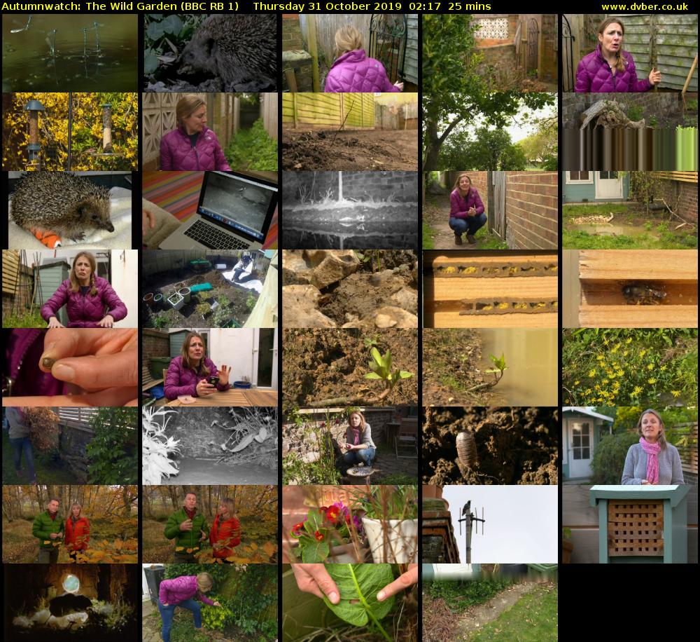 Autumnwatch: The Wild Garden (BBC RB 1) Thursday 31 October 2019 02:17 - 02:42