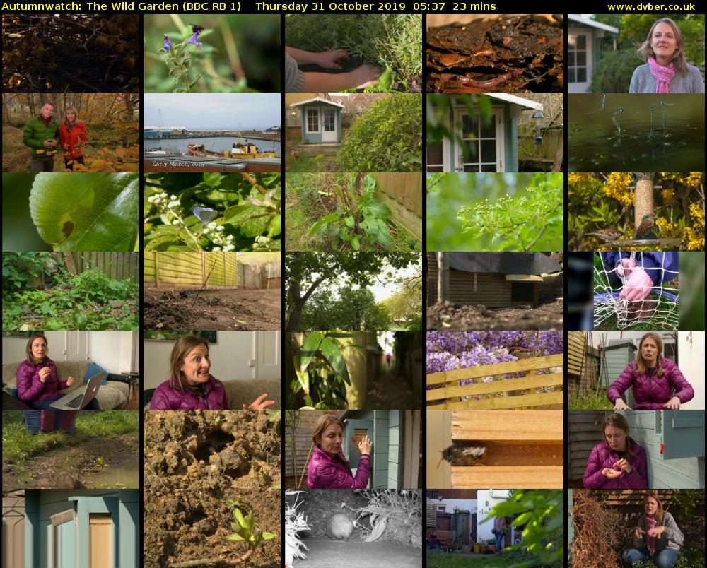 Autumnwatch: The Wild Garden (BBC RB 1) Thursday 31 October 2019 05:37 - 06:00