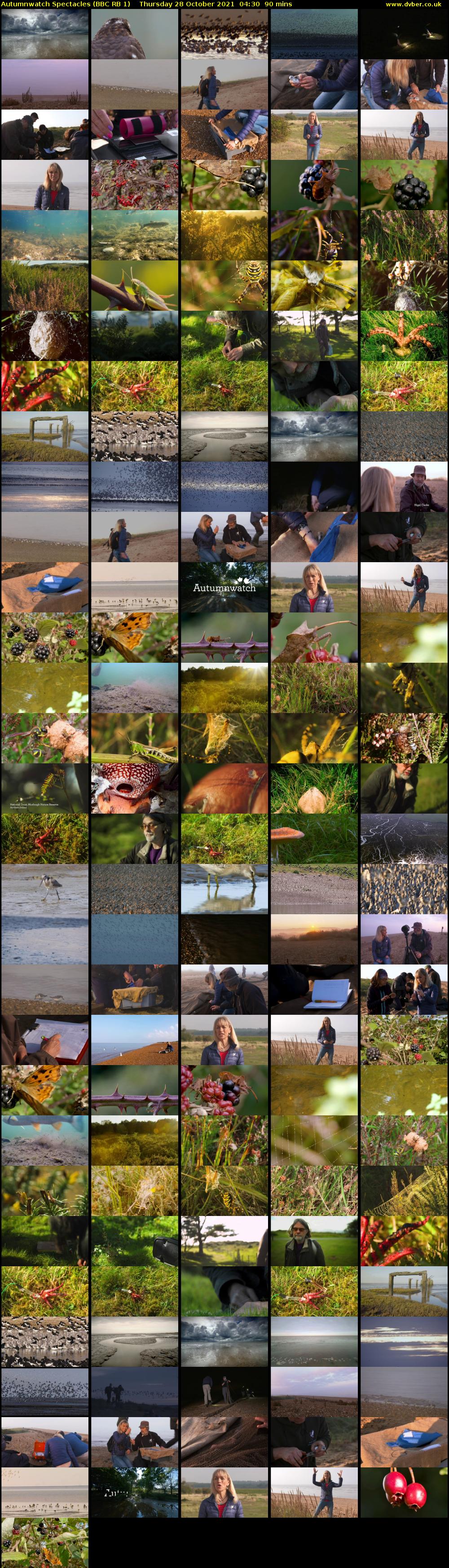 Autumnwatch Spectacles (BBC RB 1) Thursday 28 October 2021 04:30 - 06:00
