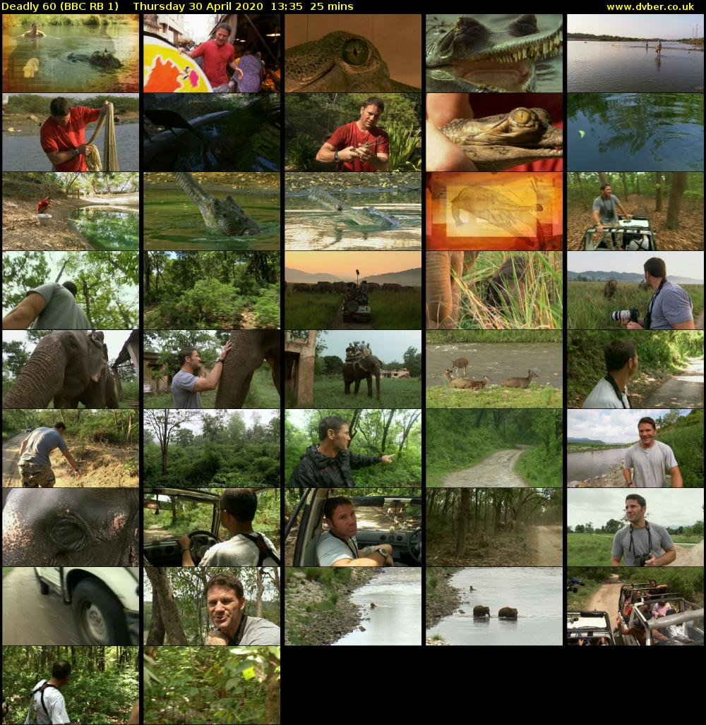 Deadly 60 (BBC RB 1) Thursday 30 April 2020 13:35 - 14:00