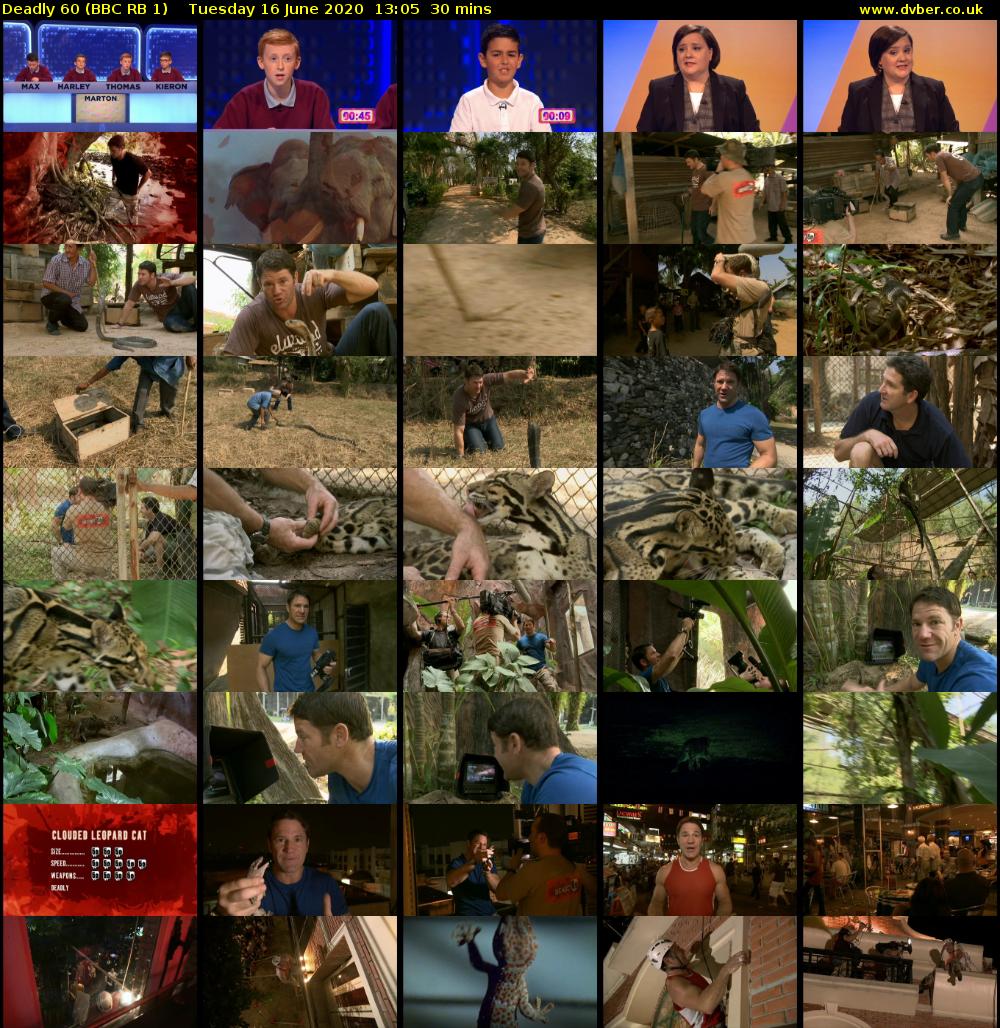 Deadly 60 (BBC RB 1) Tuesday 16 June 2020 13:05 - 13:35