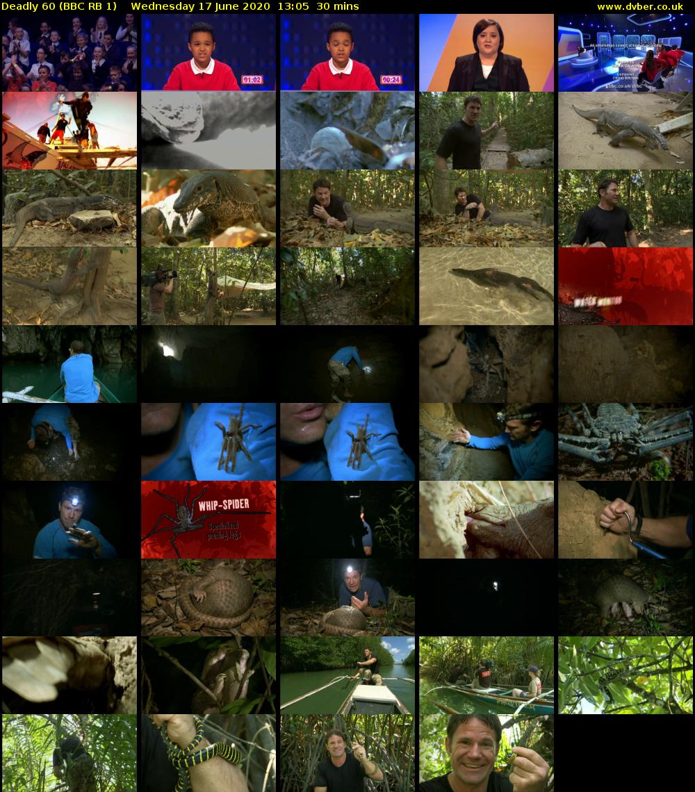 Deadly 60 (BBC RB 1) Wednesday 17 June 2020 13:05 - 13:35