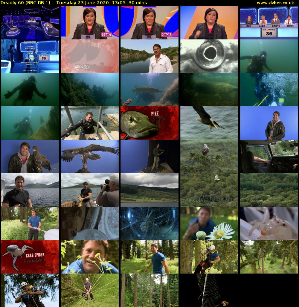 Deadly 60 (BBC RB 1) Tuesday 23 June 2020 13:05 - 13:35