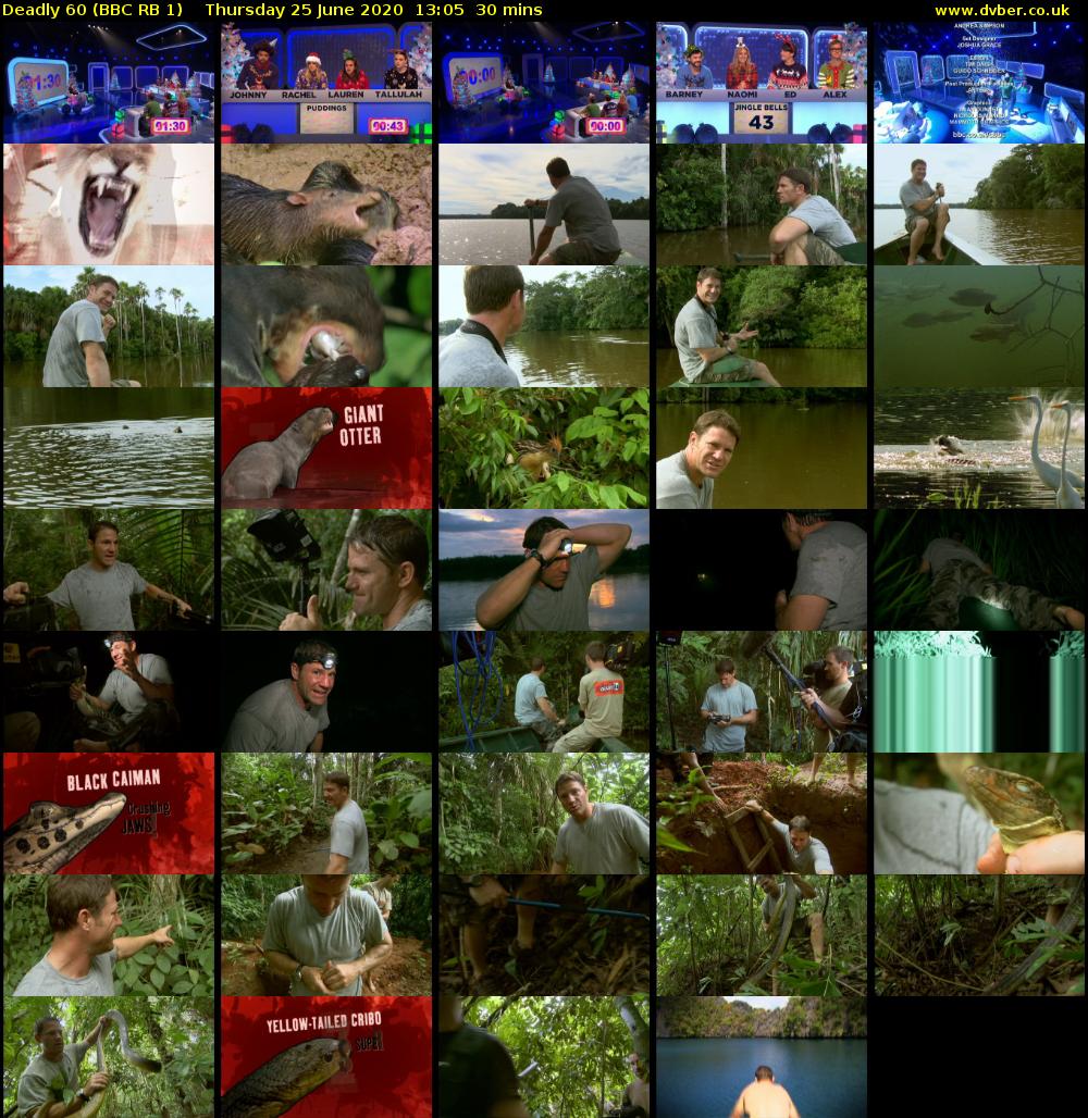 Deadly 60 (BBC RB 1) Thursday 25 June 2020 13:05 - 13:35