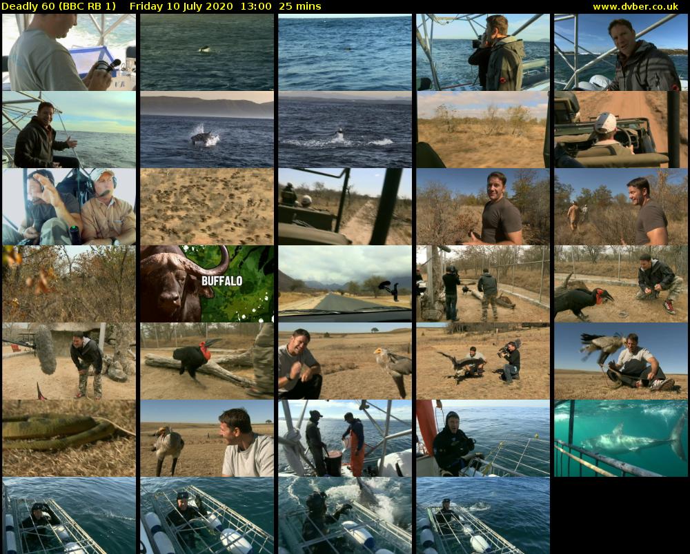 Deadly 60 (BBC RB 1) Friday 10 July 2020 13:00 - 13:25