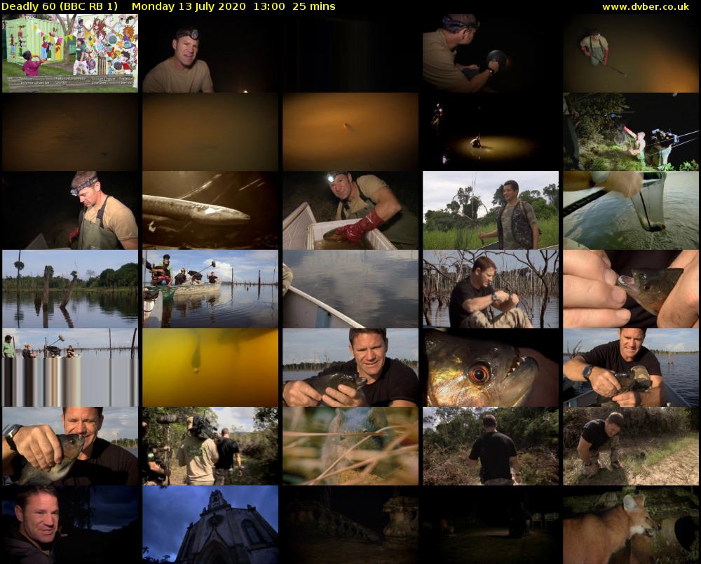 Deadly 60 (BBC RB 1) Monday 13 July 2020 13:00 - 13:25