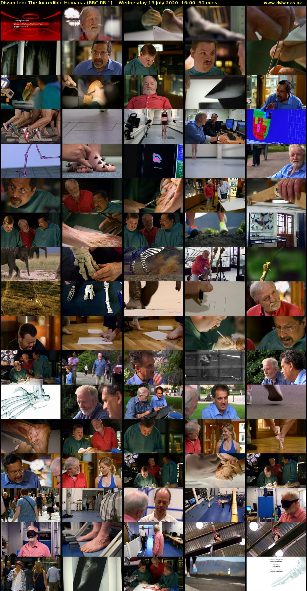 Dissected: The Incredible Human... (BBC RB 1) Wednesday 15 July 2020 16:00 - 17:00