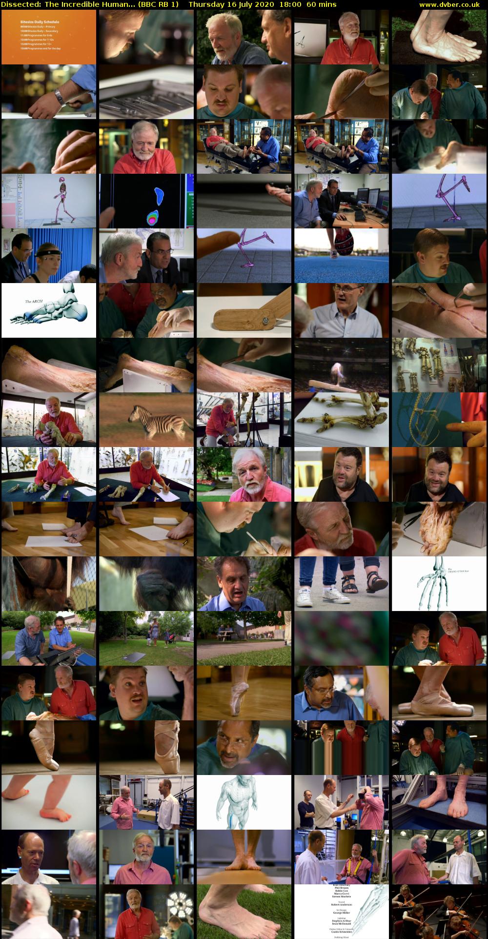 Dissected: The Incredible Human... (BBC RB 1) Thursday 16 July 2020 18:00 - 19:00