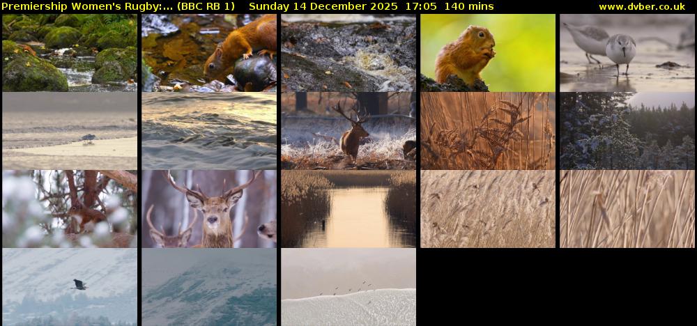 Premiership Women's Rugby:... (BBC RB 1) Sunday 14 December 2025 17:05 - 19:25