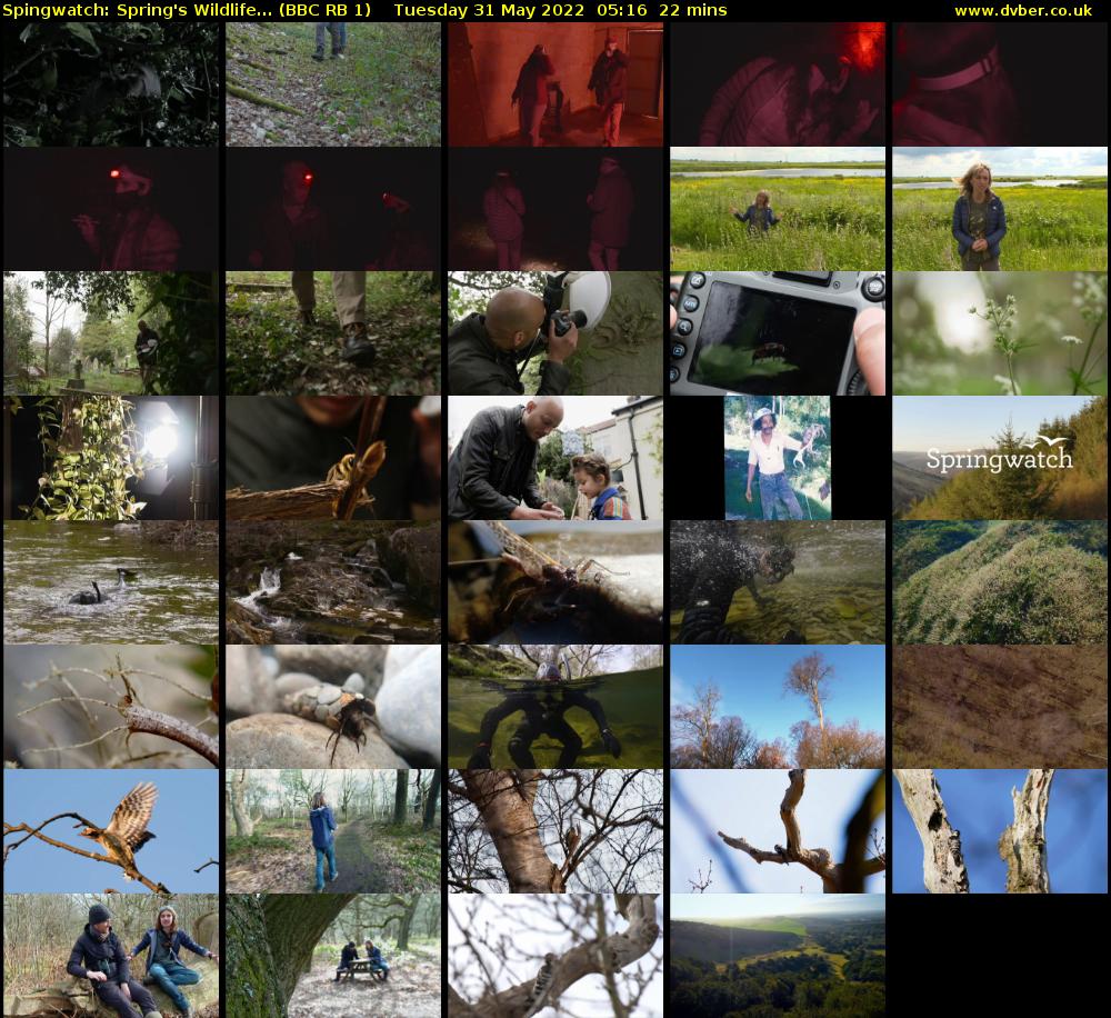 Spingwatch: Spring's Wildlife... (BBC RB 1) Tuesday 31 May 2022 05:16 - 05:38
