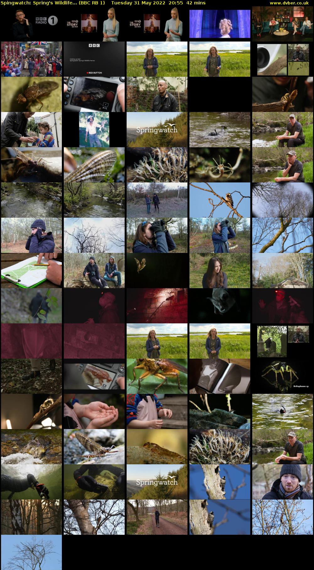 Spingwatch: Spring's Wildlife... (BBC RB 1) Tuesday 31 May 2022 20:55 - 21:37