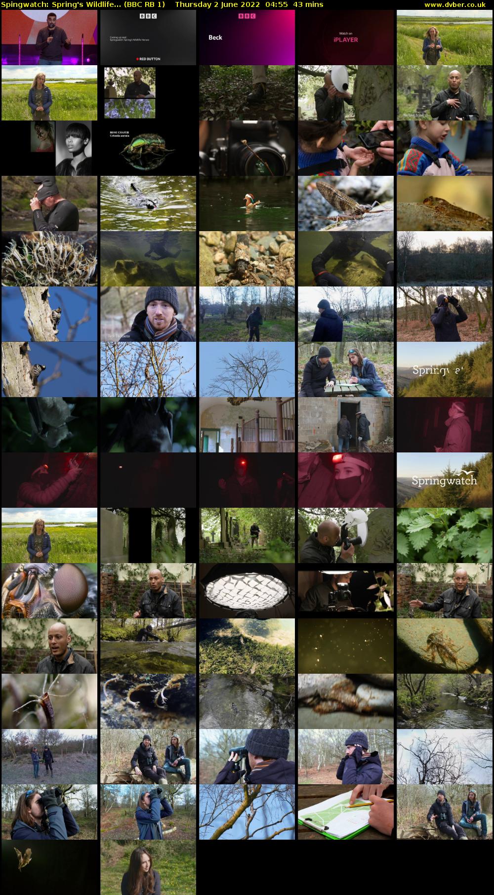 Spingwatch: Spring's Wildlife... (BBC RB 1) Thursday 2 June 2022 04:55 - 05:38