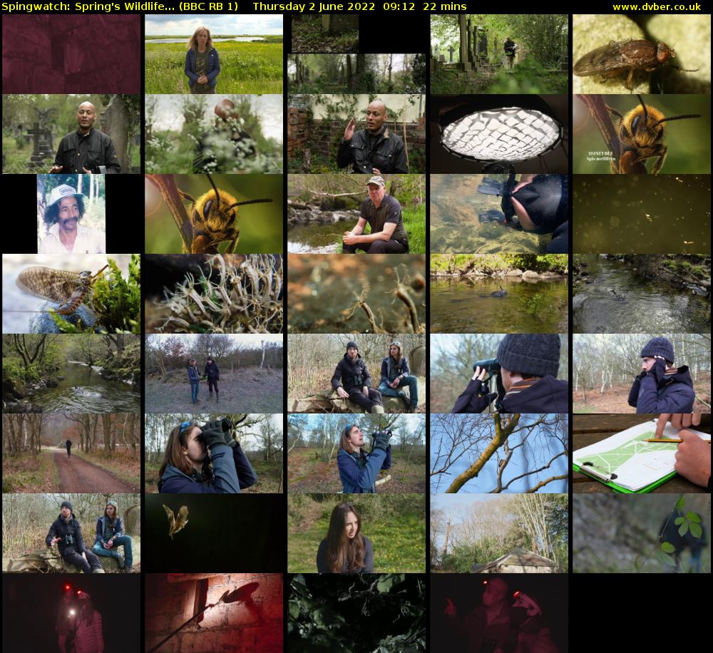 Spingwatch: Spring's Wildlife... (BBC RB 1) Thursday 2 June 2022 09:12 - 09:34