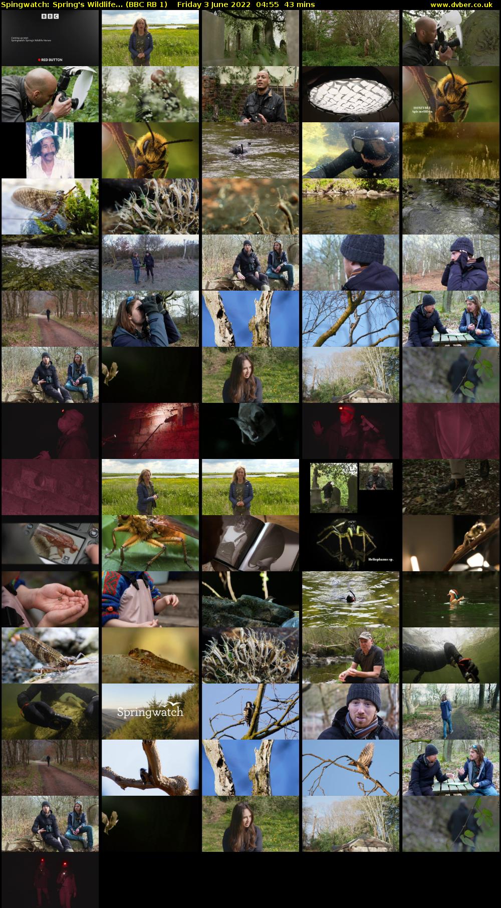 Spingwatch: Spring's Wildlife... (BBC RB 1) Friday 3 June 2022 04:55 - 05:38