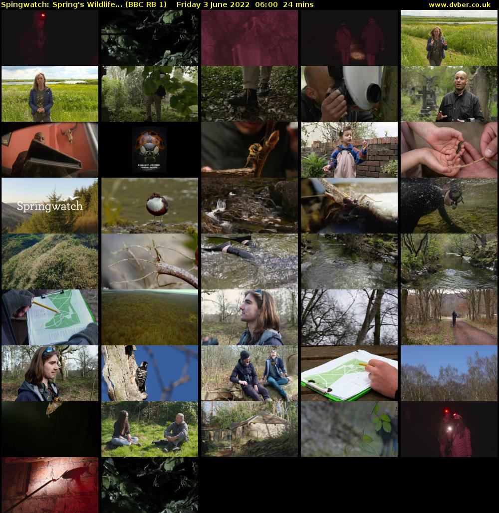 Spingwatch: Spring's Wildlife... (BBC RB 1) Friday 3 June 2022 06:00 - 06:24