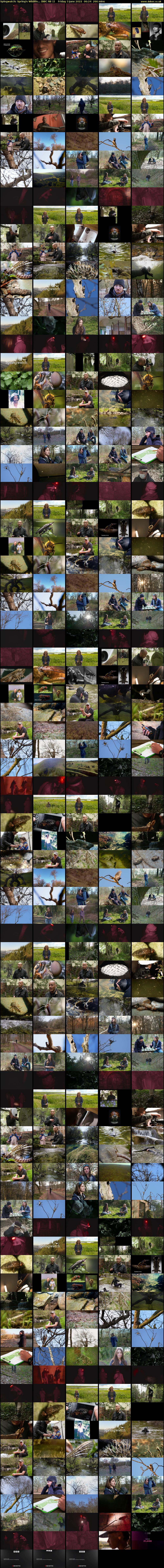 Spingwatch: Spring's Wildlife... (BBC RB 1) Friday 3 June 2022 06:24 - 10:50