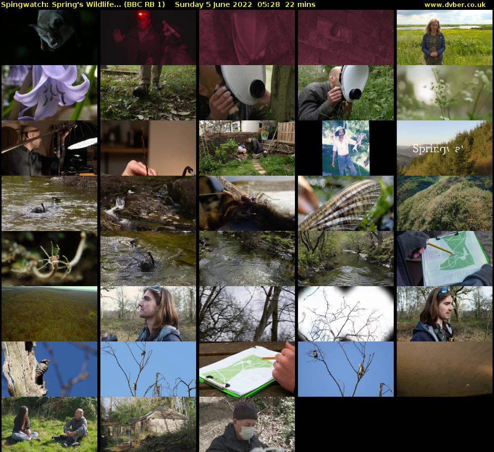Spingwatch: Spring's Wildlife... (BBC RB 1) Sunday 5 June 2022 05:28 - 05:50
