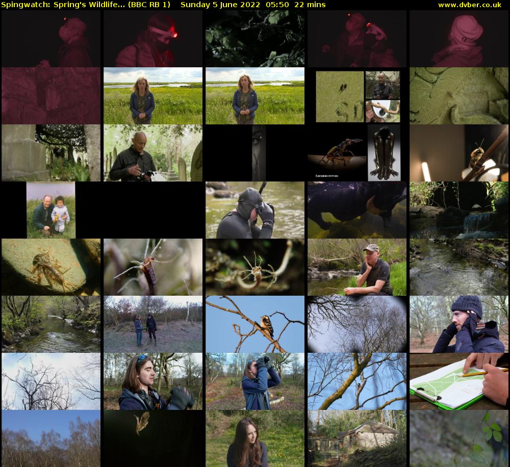 Spingwatch: Spring's Wildlife... (BBC RB 1) Sunday 5 June 2022 05:50 - 06:12