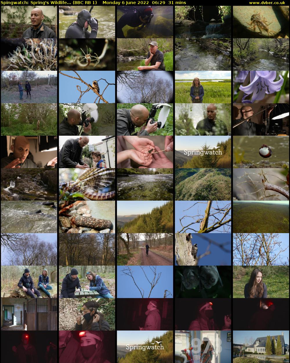 Spingwatch: Spring's Wildlife... (BBC RB 1) Monday 6 June 2022 06:29 - 07:00
