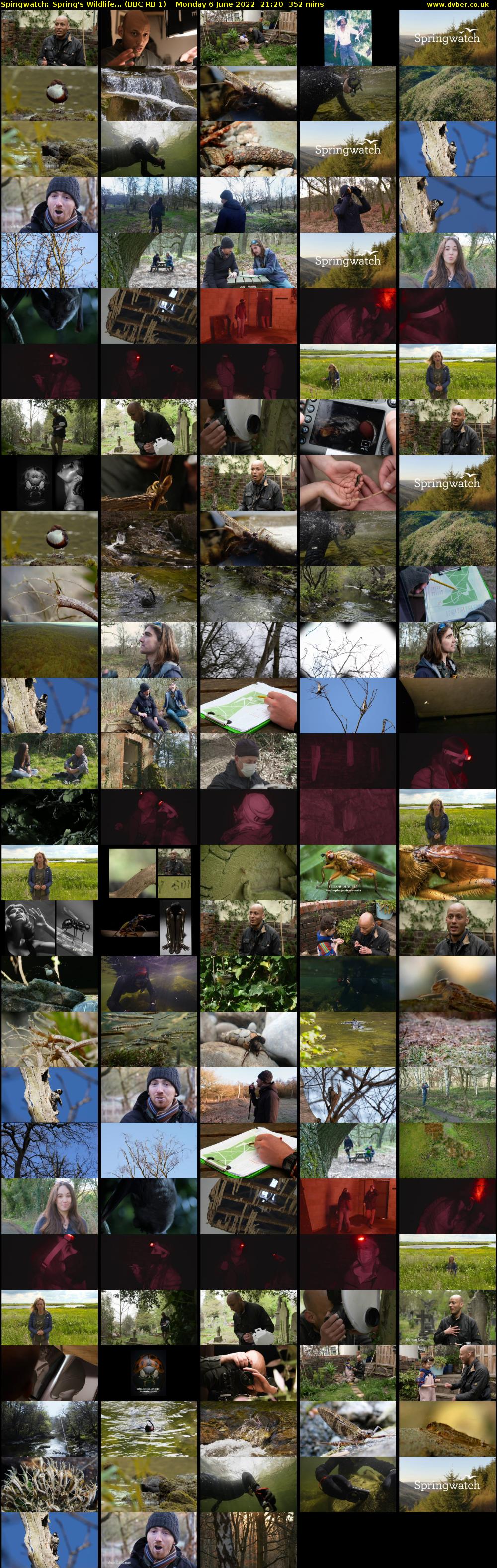 Spingwatch: Spring's Wildlife... (BBC RB 1) Monday 6 June 2022 21:20 - 03:12