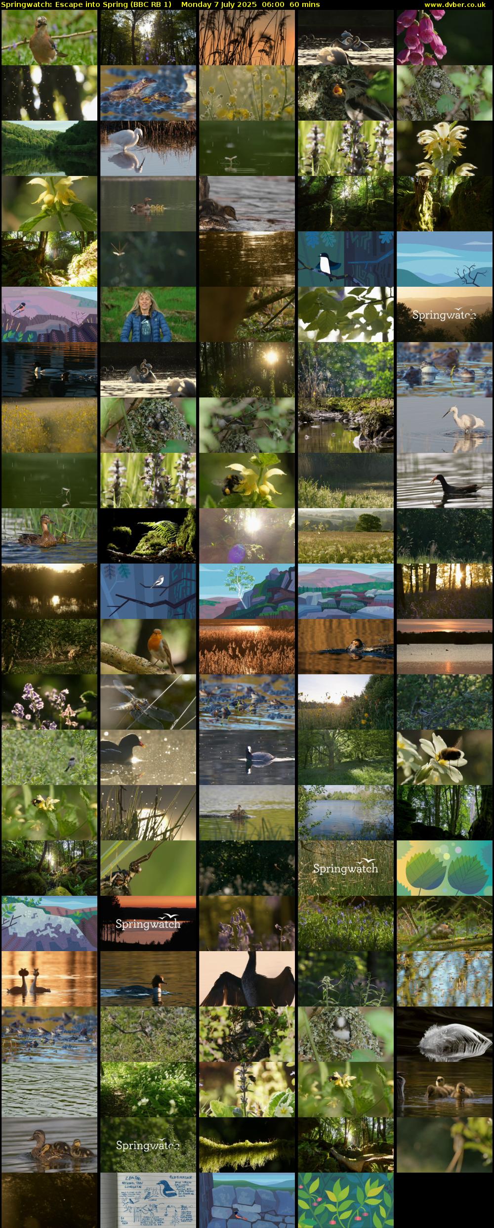 Springwatch: Escape into Spring (BBC RB 1) Monday 7 July 2025 06:00 - 07:00