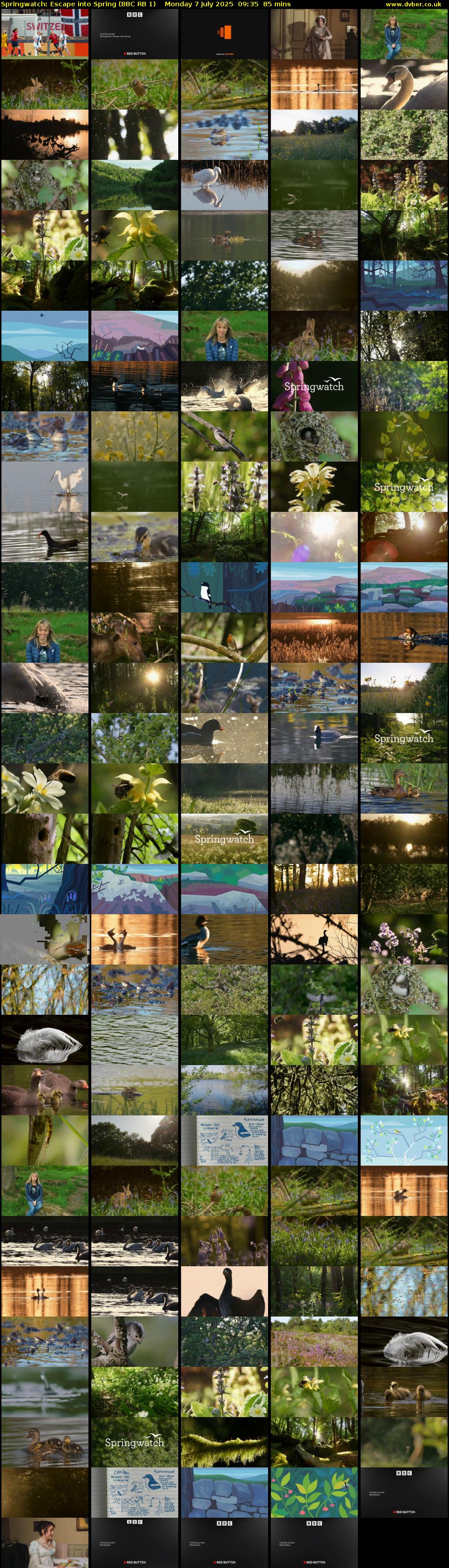 Springwatch: Escape into Spring (BBC RB 1) Monday 7 July 2025 09:35 - 11:00