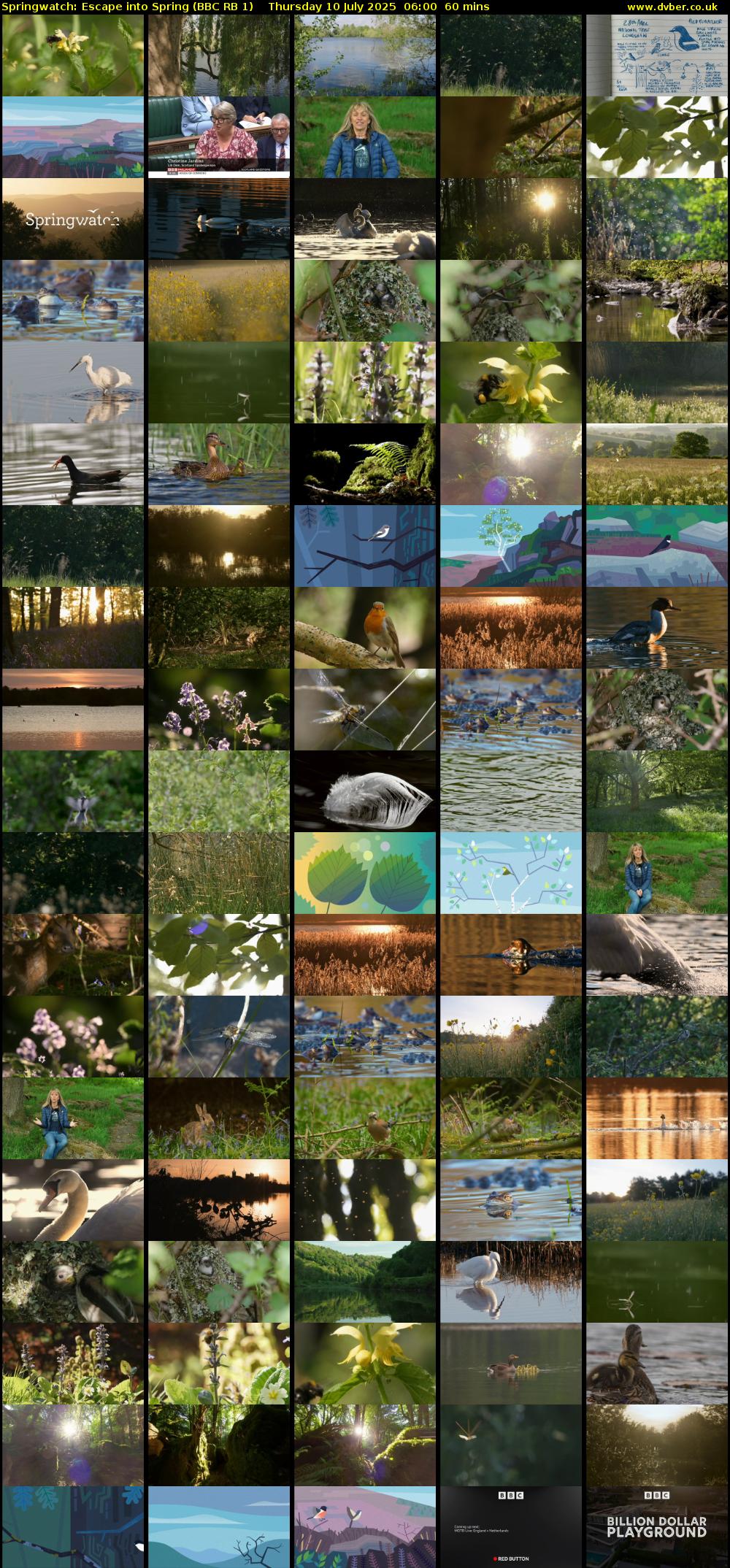 Springwatch: Escape into Spring (BBC RB 1) Thursday 10 July 2025 06:00 - 07:00