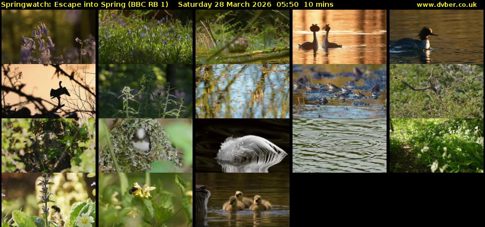 Springwatch: Escape into Spring (BBC RB 1) Saturday 28 March 2026 05:50 - 06:00