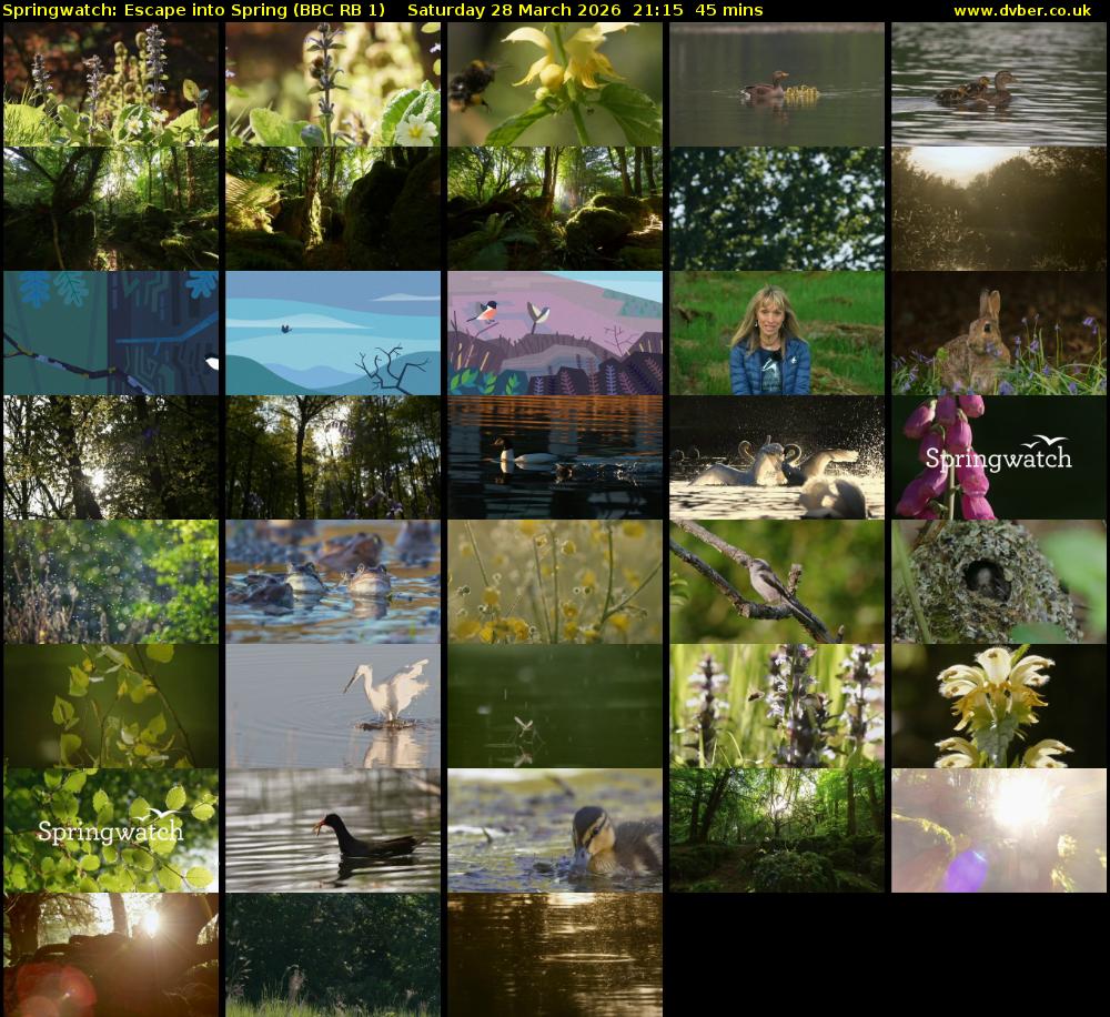 Springwatch: Escape into Spring (BBC RB 1) Saturday 28 March 2026 21:15 - 22:00