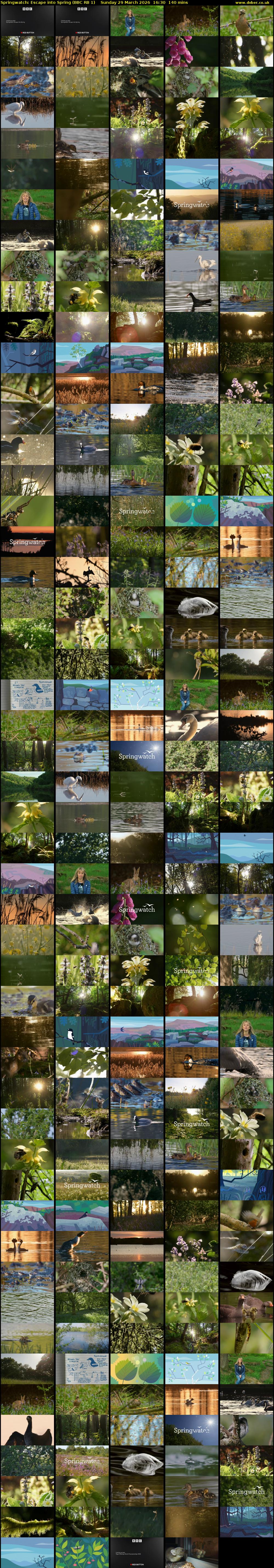 Springwatch: Escape into Spring (BBC RB 1) Sunday 29 March 2026 16:30 - 18:50