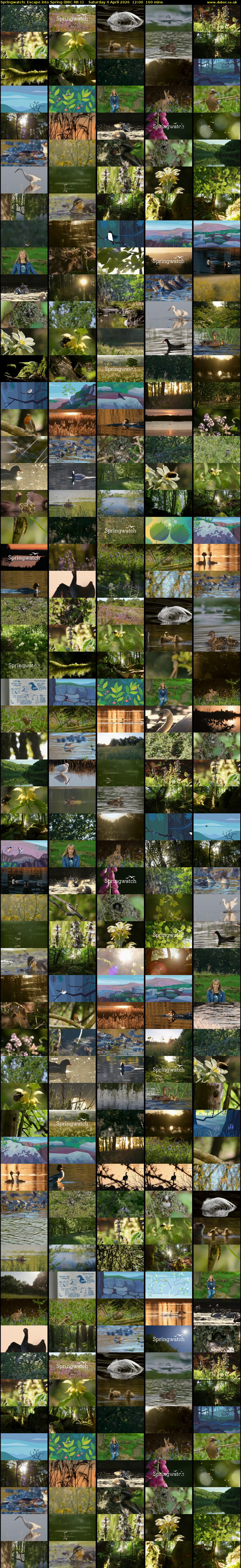 Springwatch: Escape into Spring (BBC RB 1) Saturday 4 April 2026 12:00 - 14:40