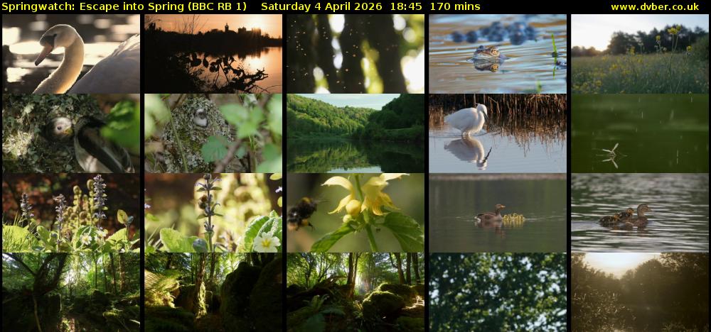Springwatch: Escape into Spring (BBC RB 1) Saturday 4 April 2026 18:45 - 21:35