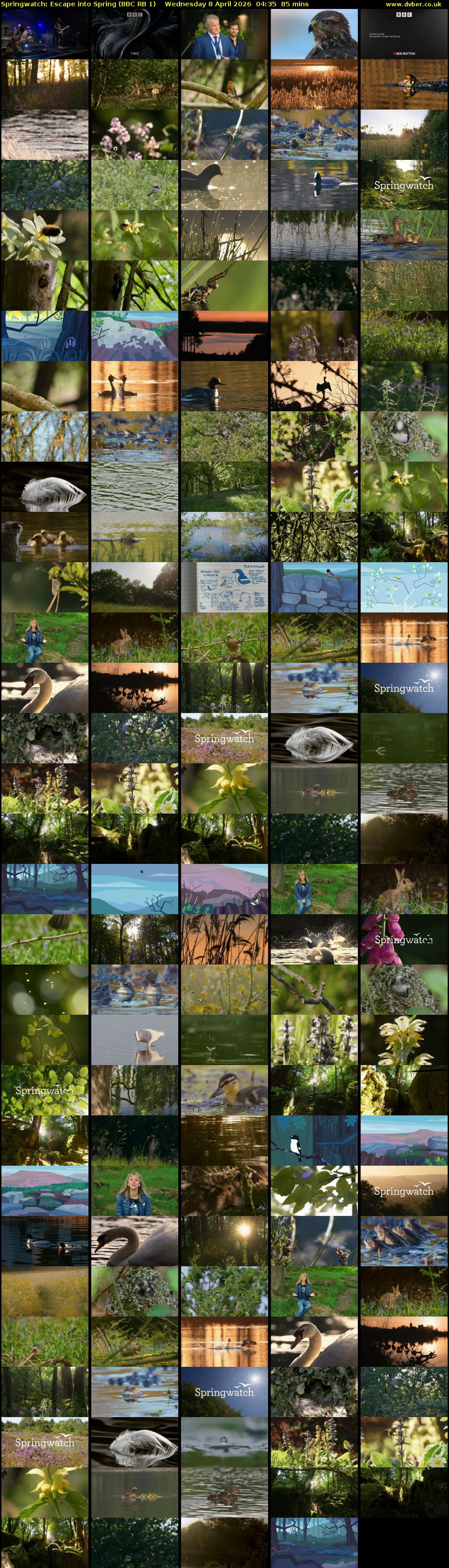 Springwatch: Escape into Spring (BBC RB 1) Wednesday 8 April 2026 04:35 - 06:00