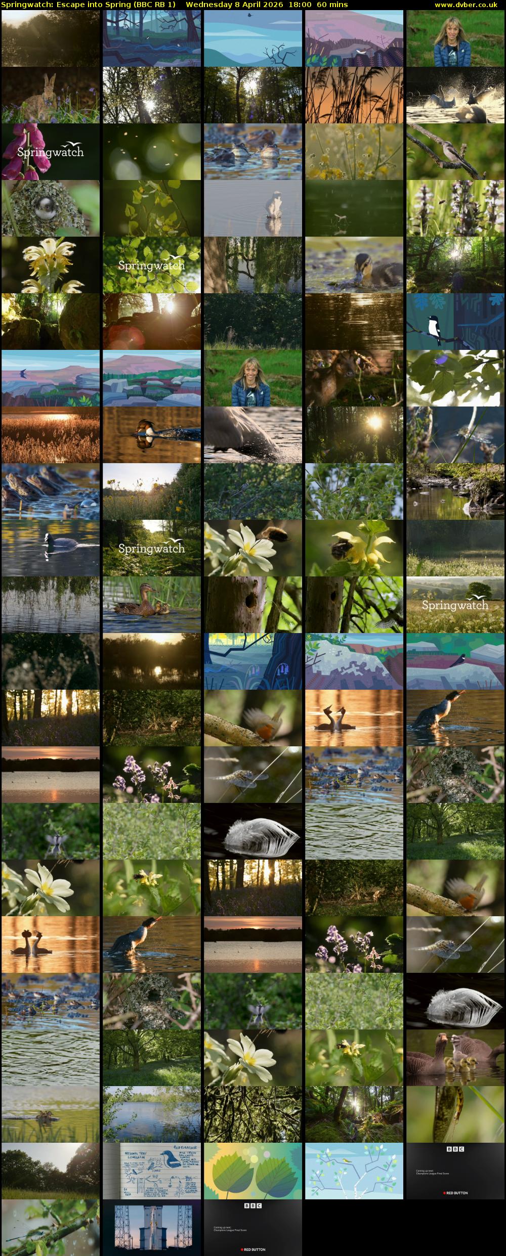 Springwatch: Escape into Spring (BBC RB 1) Wednesday 8 April 2026 18:00 - 19:00