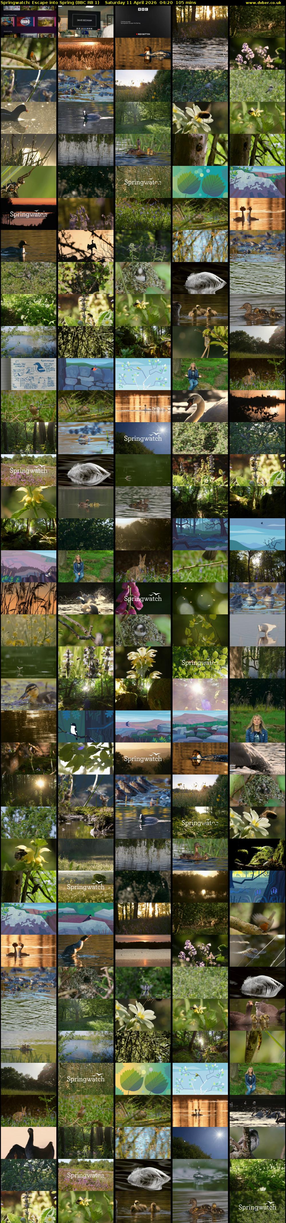 Springwatch: Escape into Spring (BBC RB 1) Saturday 11 April 2026 04:20 - 06:05