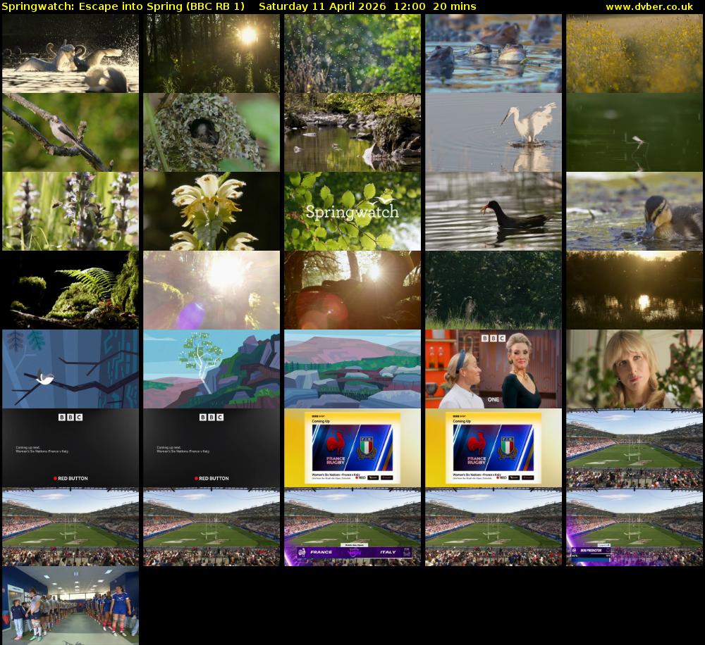 Springwatch: Escape into Spring (BBC RB 1) Saturday 11 April 2026 12:00 - 12:20
