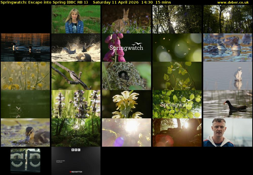 Springwatch: Escape into Spring (BBC RB 1) Saturday 11 April 2026 14:30 - 14:45