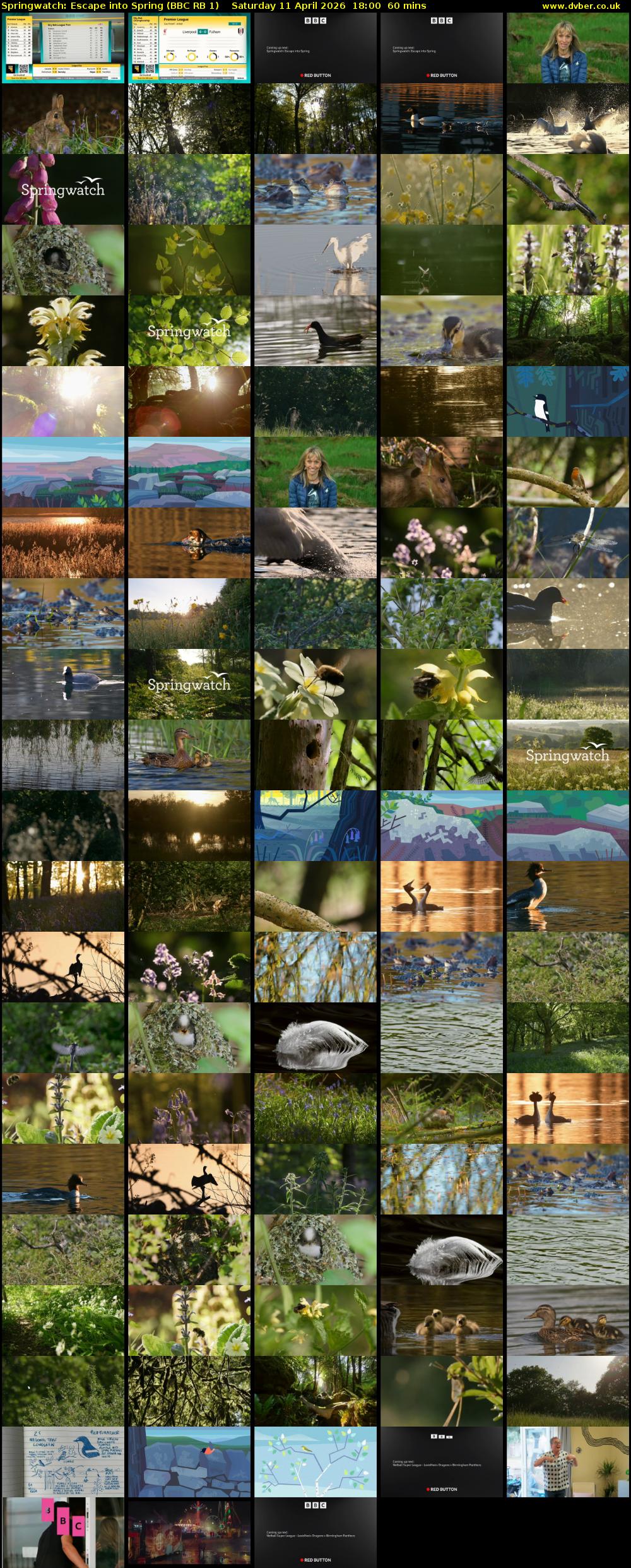 Springwatch: Escape into Spring (BBC RB 1) Saturday 11 April 2026 18:00 - 19:00