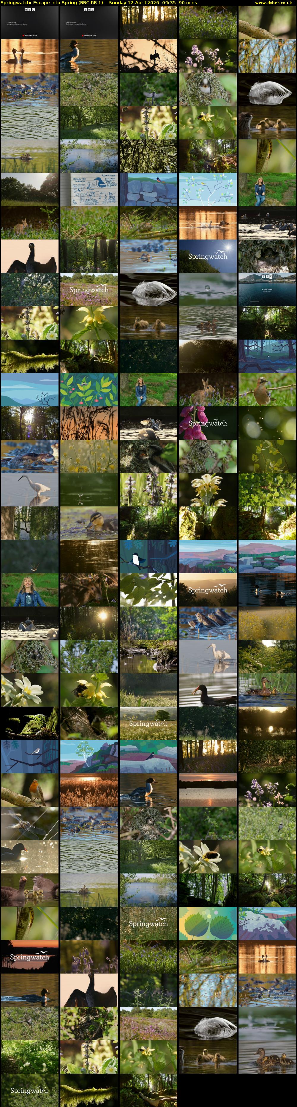 Springwatch: Escape into Spring (BBC RB 1) Sunday 12 April 2026 04:35 - 06:05