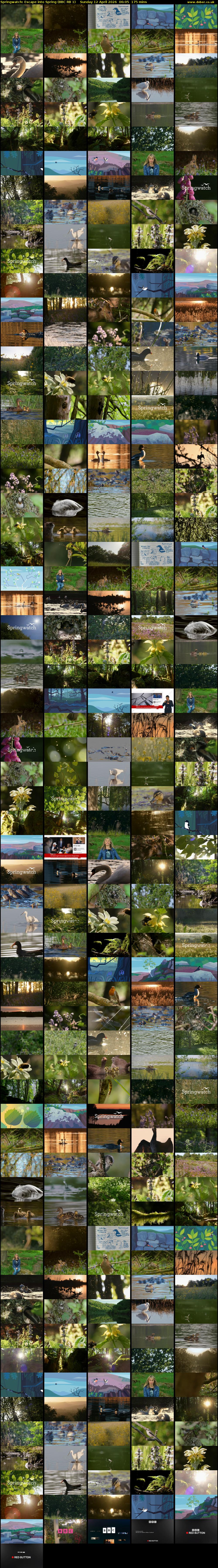 Springwatch: Escape into Spring (BBC RB 1) Sunday 12 April 2026 06:05 - 09:00