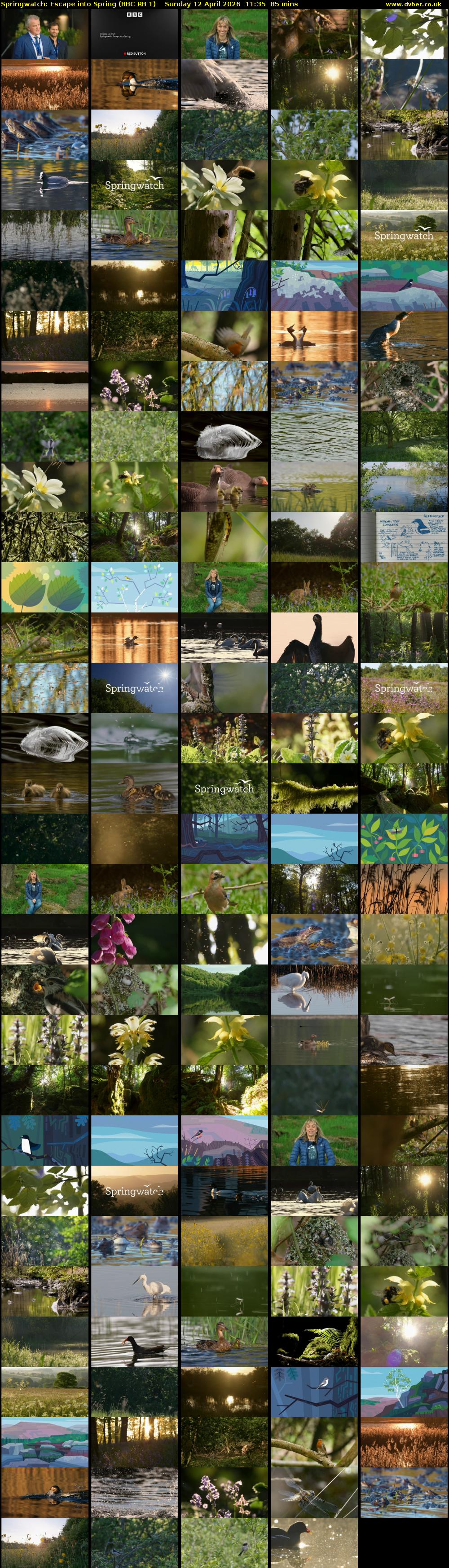 Springwatch: Escape into Spring (BBC RB 1) Sunday 12 April 2026 11:35 - 13:00