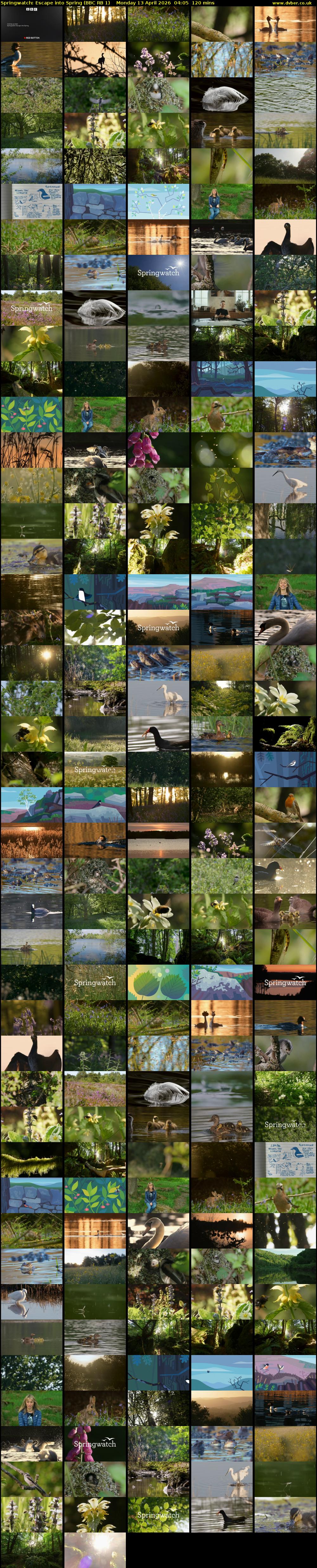 Springwatch: Escape into Spring (BBC RB 1) Monday 13 April 2026 04:05 - 06:05