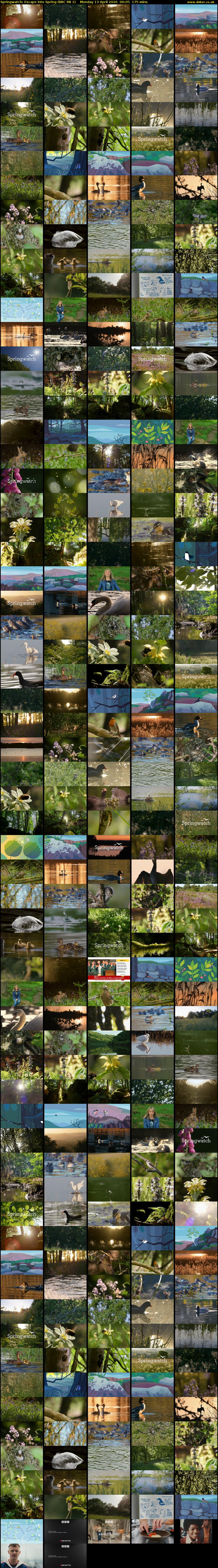 Springwatch: Escape into Spring (BBC RB 1) Monday 13 April 2026 06:05 - 09:00