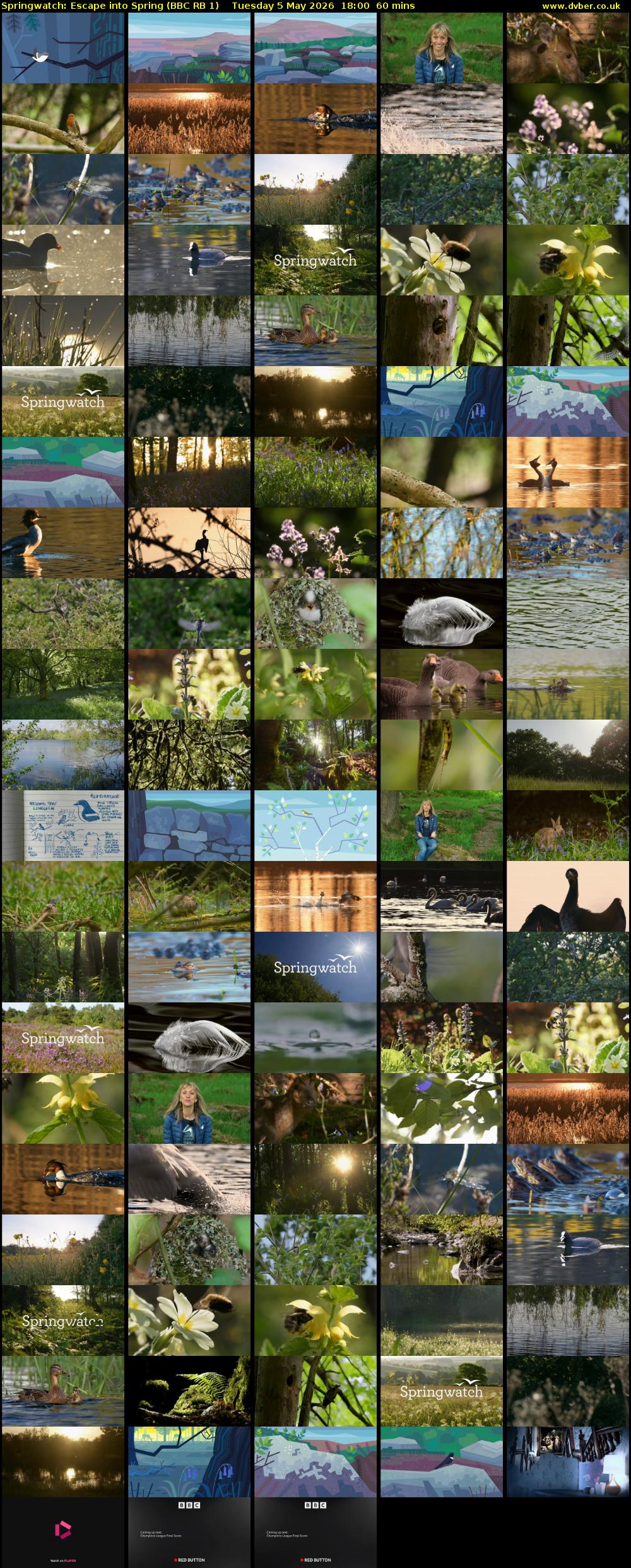 Springwatch: Escape into Spring (BBC RB 1) Tuesday 5 May 2026 18:00 - 19:00