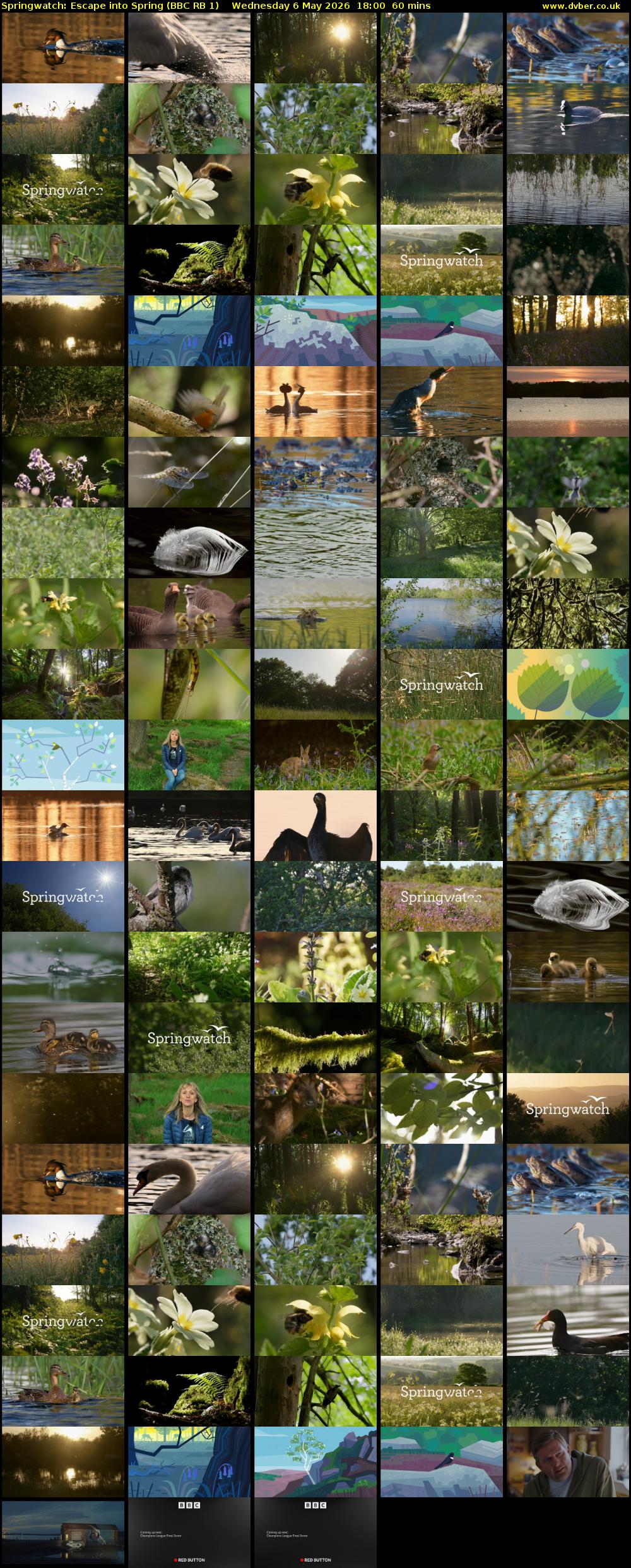 Springwatch: Escape into Spring (BBC RB 1) Wednesday 6 May 2026 18:00 - 19:00